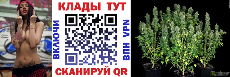 Где купить наркоту Саров Кокаин  Конопля  APVP  Гашиш  Мефедрон 