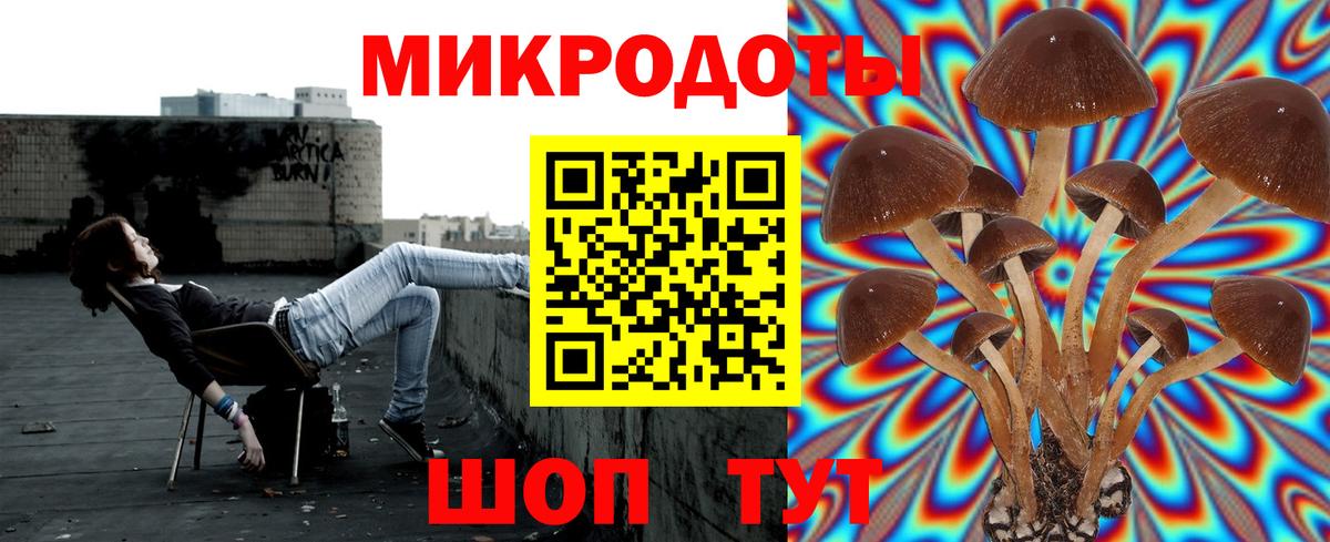 Псилоцибиновые грибы GOLDEN TEACHER  Вход с VPN  Саров 
